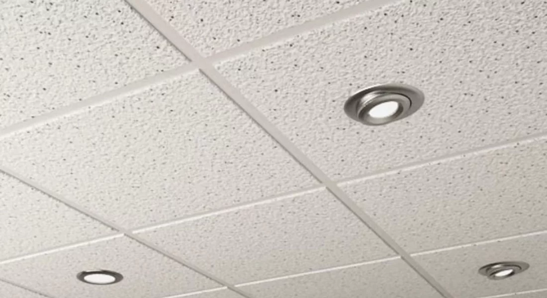 Saray'da Taşyünü Tavan Uygulaması